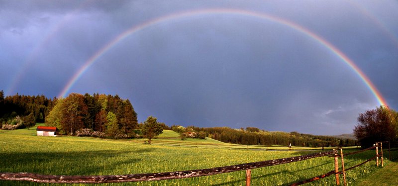 regenbogen.jpg